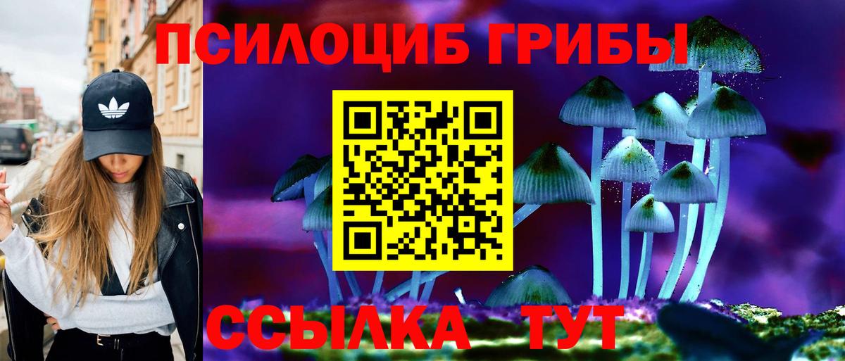 Псилоцибиновые грибы ЛСД Приморско-Ахтарск