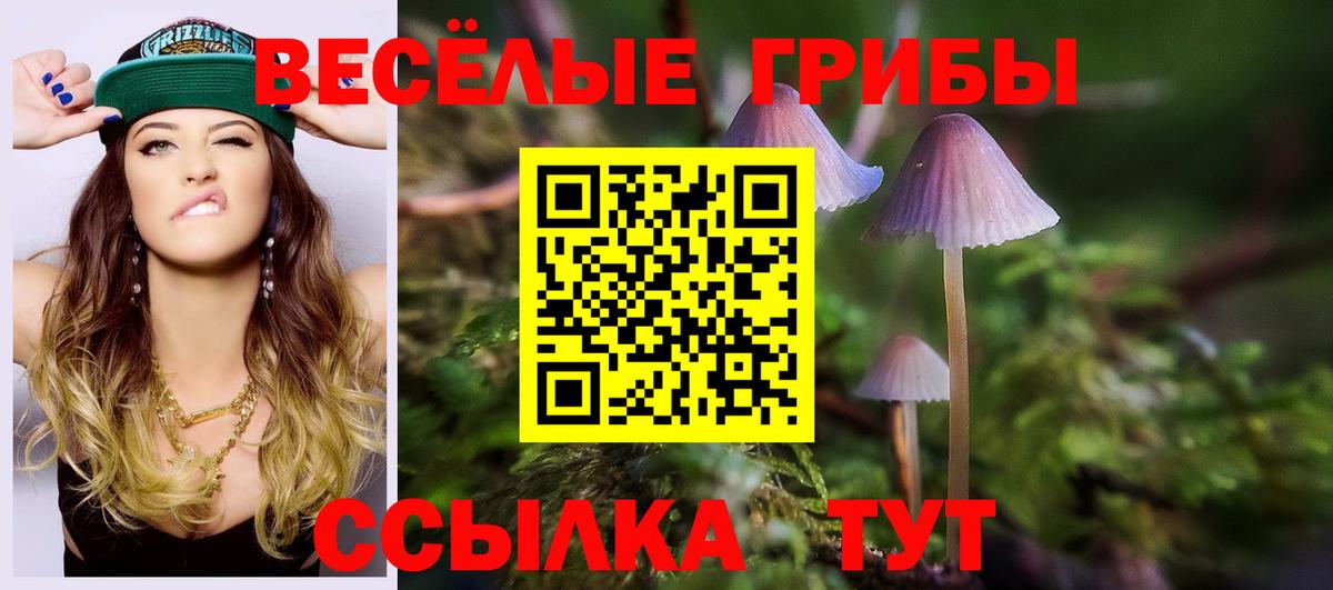 Галлюциногенные грибы GOLDEN TEACHER  Вход с VPN  Приморско-Ахтарск 